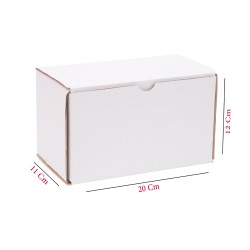 Carton Blanc 20 x 11.5 x 12...